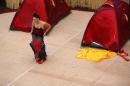 Les Polyamide Sisters 5 * 4368 x 2912 * (6.66MB)